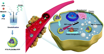 Graphical abstract: Melanin-loaded biocompatible photosensitive nanoparticles for controlled drug release in combined photothermal-chemotherapy guided by photoacoustic/ultrasound dual-modality imaging