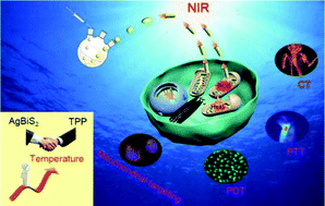 Graphical abstract: AgBiS2-TPP nanocomposite for mitochondrial targeting photodynamic therapy, photothermal therapy and bio-imaging under 808 nm NIR laser irradiation