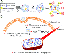 Graphical abstract: Retracted Article: A near-infrared laser and H2O2 activated bio-nanoreactor for enhanced photodynamic therapy of hypoxic tumors
