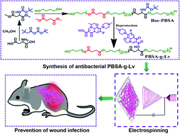 Graphical abstract: Hydrophilic and degradable polyesters based on l-aspartic acid with antibacterial properties for potential application in hernia repair