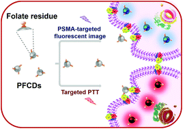 Graphical abstract: One-pot synthesis of carbon dots with intrinsic folic acid for synergistic imaging-guided photothermal therapy of prostate cancer cells