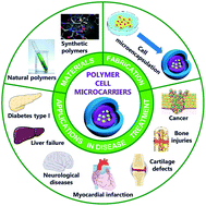 Graphical abstract: Polymer microcapsules and microbeads as cell carriers for in vivo biomedical applications