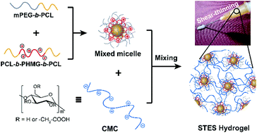 Graphical abstract: A shear-thinning electrostatic hydrogel with antibacterial activity by nanoengineering of polyelectrolytes