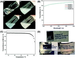 Graphical abstract: A new highly transparent injectable PHA-based thermogelling vitreous substitute