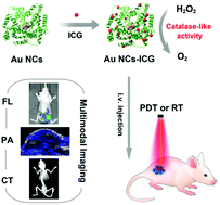 Graphical abstract: Ultrasmall theranostic nanozymes to modulate tumor hypoxia for augmenting photodynamic therapy and radiotherapy