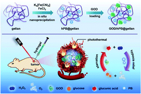 Graphical abstract: A robust hybrid nanozyme@hydrogel platform as a biomimetic cascade bioreactor for combination antitumor therapy