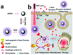 Graphical abstract: A tumor-targeted nanoplatform with stimuli-responsive cascaded activities for multiple model tumor therapy