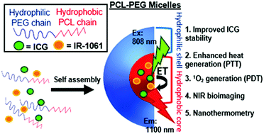 Graphical abstract: Stabilization of indocyanine green dye in polymeric micelles for NIR-II fluorescence imaging and cancer treatment