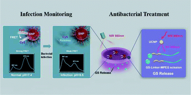 Graphical abstract: Smart wound dressing for infection monitoring and NIR-triggered antibacterial treatment