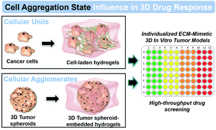 Graphical abstract: Hydrogel 3D in vitro tumor models for screening cell aggregation mediated drug response