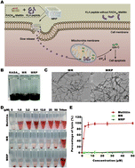 Graphical abstract: Melittin-encapsulating peptide hydrogels for enhanced delivery of impermeable anticancer peptides