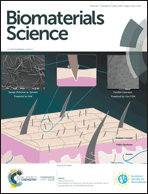 Graphical abstract: Inside front cover