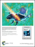 Graphical abstract: Back cover