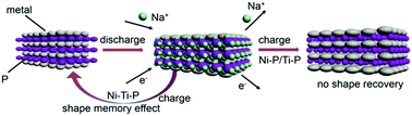 Graphical abstract: Improving the structure stabilization of red phosphorus anodes via the shape memory effect of a Ni–Ti alloy for high-performance sodium ion batteries