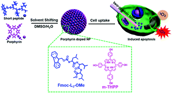 Graphical abstract: One-step co-assembly method to fabricate photosensitive peptide nanoparticles for two-photon photodynamic therapy