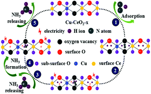 Graphical abstract: Cu doping in CeO2 to form multiple oxygen vacancies for dramatically enhanced ambient N2 reduction performance