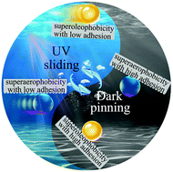 Graphical abstract: Underwater manipulation of oil droplets and bubbles on superhydrophobic surfaces via switchable adhesion