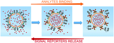 Graphical abstract: Target-controlled liposome amplification for versatile nanopore analysis