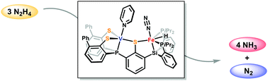 Graphical abstract: Catalytic hydrazine disproportionation mediated by a thiolate-bridged VFe complex