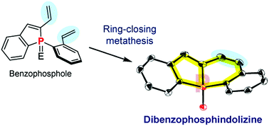 Graphical abstract: Dibenzo[b,e]phosphindolizines synthesized by a ring-closing metathesis of benzo[b]phospholes with two vinyl tethers