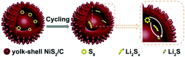 Graphical abstract: Metal–organic framework derived yolk–shell NiS2/carbon spheres for lithium–sulfur batteries with enhanced polysulfide redox kinetics