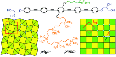 Graphical abstract: Soft self-assembled sub-5 nm scale chessboard and snub-square tilings with oligo(para-phenyleneethynylene) rods