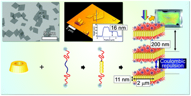 Graphical abstract: Autonomously isolated pseudo-polyrotaxane nanosheets fabricated via hierarchically ordered supramolecular self-assembly