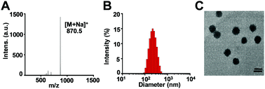 Graphical abstract: A mitochondria targeting artesunate prodrug-loaded nanoparticle exerting anticancer activity via iron-mediated generation of the reactive oxygen species