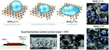 Graphical abstract: Superhydrophobic states of 2D nanomaterials controlled by atomic defects can modulate cell adhesion