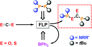Graphical abstract: Diphosphination of CO2 and CS2 mediated by frustrated Lewis pairs – catalytic route to phosphanyl derivatives of formic and dithioformic acid