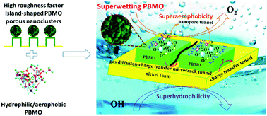 Graphical abstract: Robust and superwetting island-shaped phytate bimetallic oxyhydroxide porous nanoclusters via a mild self-assembly—etching–catching—electrochemical oxidization strategy for an enhanced oxygen evolution reaction