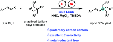 Graphical abstract: Dual nickel- and photoredox-catalyzed reductive cross-coupling of aryl vinyl halides and unactivated tertiary alkyl bromides