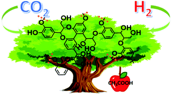 Graphical abstract: Synthesis of renewable acetic acid from CO2 and lignin over an ionic liquid-based catalytic system