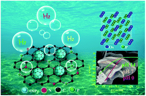 Graphical abstract: Nitrogen and phosphorous co-doped graphitic carbon encapsulated ultrafine OsP2 nanoparticles: a pH universal highly durable catalyst for hydrogen evolution reaction