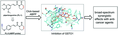 Graphical abstract: Activity-based protein profiling reveals GSTO1 as the covalent target of piperlongumine and a promising target for combination therapy for cancer