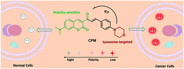 Graphical abstract: A lysosome-targeting and polarity-specific fluorescent probe for cancer diagnosis
