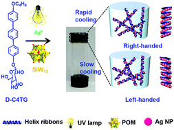 Graphical abstract: Controlled chiral arrangement of silver nanoparticles in supramolecular gels modulated by the cooling rate