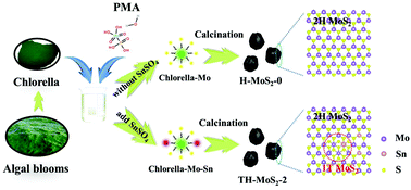 Graphical abstract: An Sn doped 1T–2H MoS2 few-layer structure embedded in N/P co-doped bio-carbon for high performance sodium-ion batteries