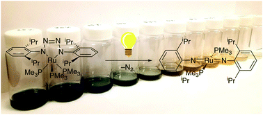 Graphical abstract: A photochemical route to a square planar, ruthenium(iv)-bis(imide)