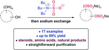 Graphical abstract: Sulfation made simple: a strategy for synthesising sulfated molecules