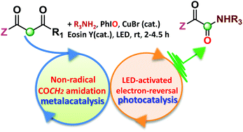 Graphical abstract: Selective amidation by a photocatalyzed umpolung reaction