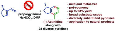 Graphical abstract: A simple, tandem approach to the construction of pyridine derivatives under metal-free conditions: a one-step synthesis of the monoterpene natural product, (−)-actinidine