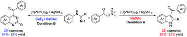 Graphical abstract: Synthesis of indoles and quinazolines via additive-controlled selective C–H activation/annulation of N-arylamidines and sulfoxonium ylides