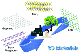 Graphical abstract: Biocompatibility and biodegradability of 2D materials: graphene and beyond