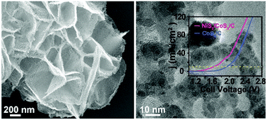 Graphical abstract: NiS2 nanodotted carnation-like CoS2 for enhanced electrocatalytic water splitting