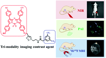 Graphical abstract: A fluorinated aza-BODIPY derivative for NIR fluorescence/PA/19F MR tri-modality in vivo imaging