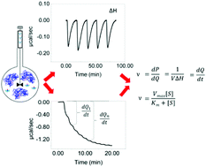 Graphical abstract: A direct time-based ITC approach for substrate turnover measurements demonstrated on human FMO3