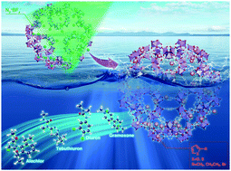 Graphical abstract: Visible-light-mediated guest trapping in a photosensitizing porous coordination network: metal-free C–C bond-forming modification of metal–organic frameworks for aqueous-phase herbicide adsorption