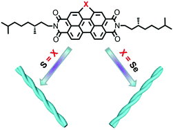 Graphical abstract: Chalcogen-substitution modulated supramolecular chirality and gas sensing properties in perylenediimides