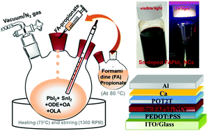 Graphical abstract: Stable Sn2+ doped FAPbI3 nanocrystals for near-infrared LEDs